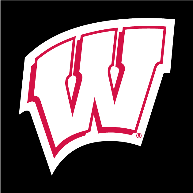 Wisconsin Badgers 1991-Pres Alternate Logo iron on transfers for T-shirts